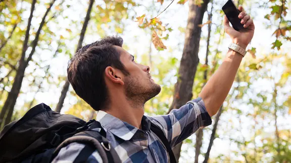 Ein junger Mann steht in dichtem Grün und schaut auf sein Smartphone im Rahmen von Geocaching.