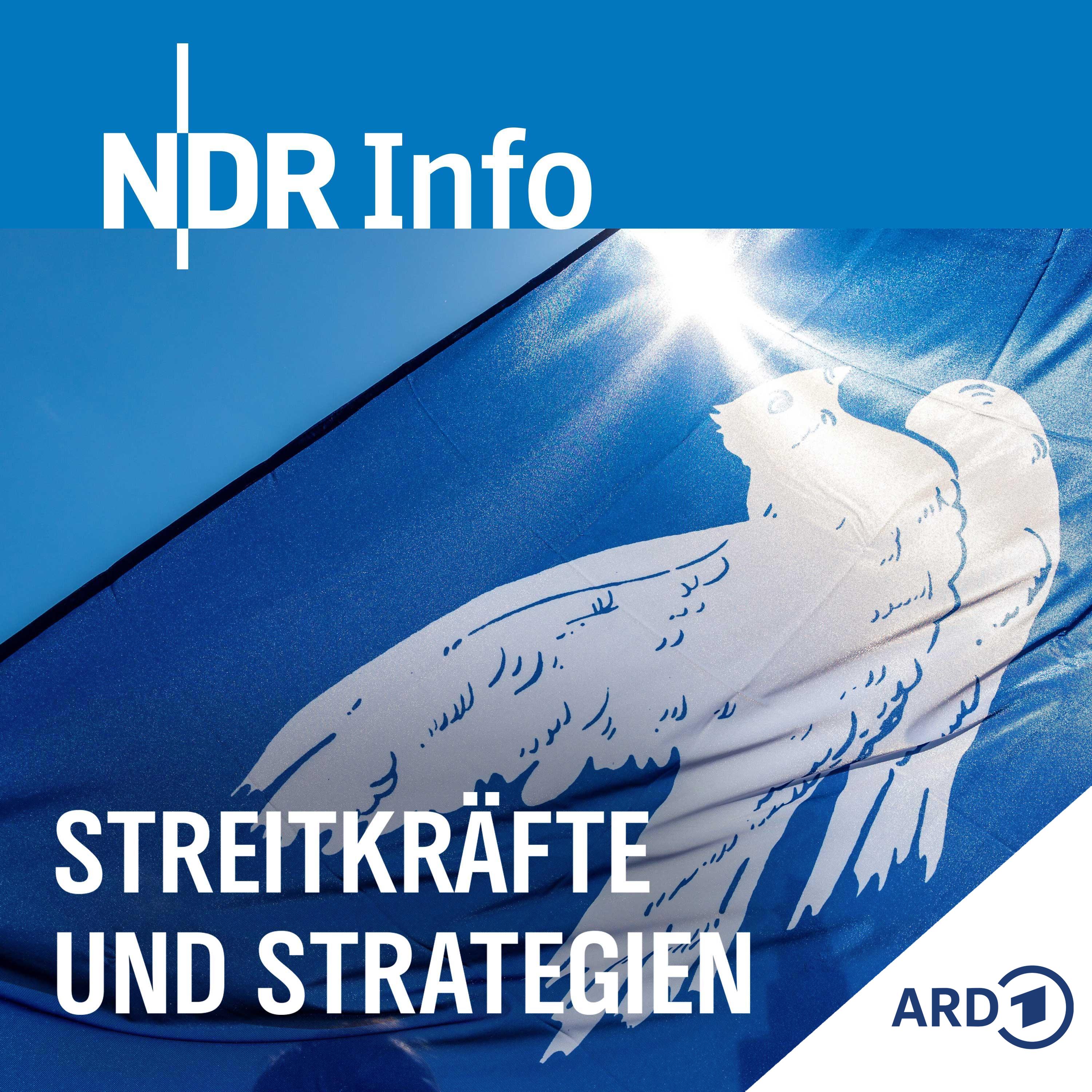Die Friedensbewegung in Kriegszeiten (mit Friedrich Kramer)