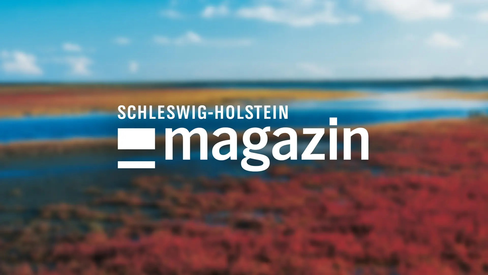 Schleswig-Holstein 18:00 | 29.07.2025