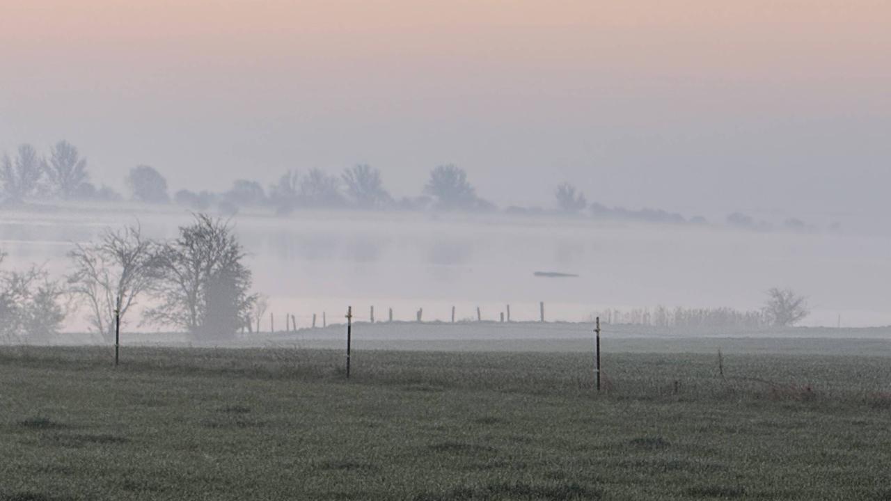 Ostsee: Rettungsversuch von gestrandetem Buckelwal soll starten