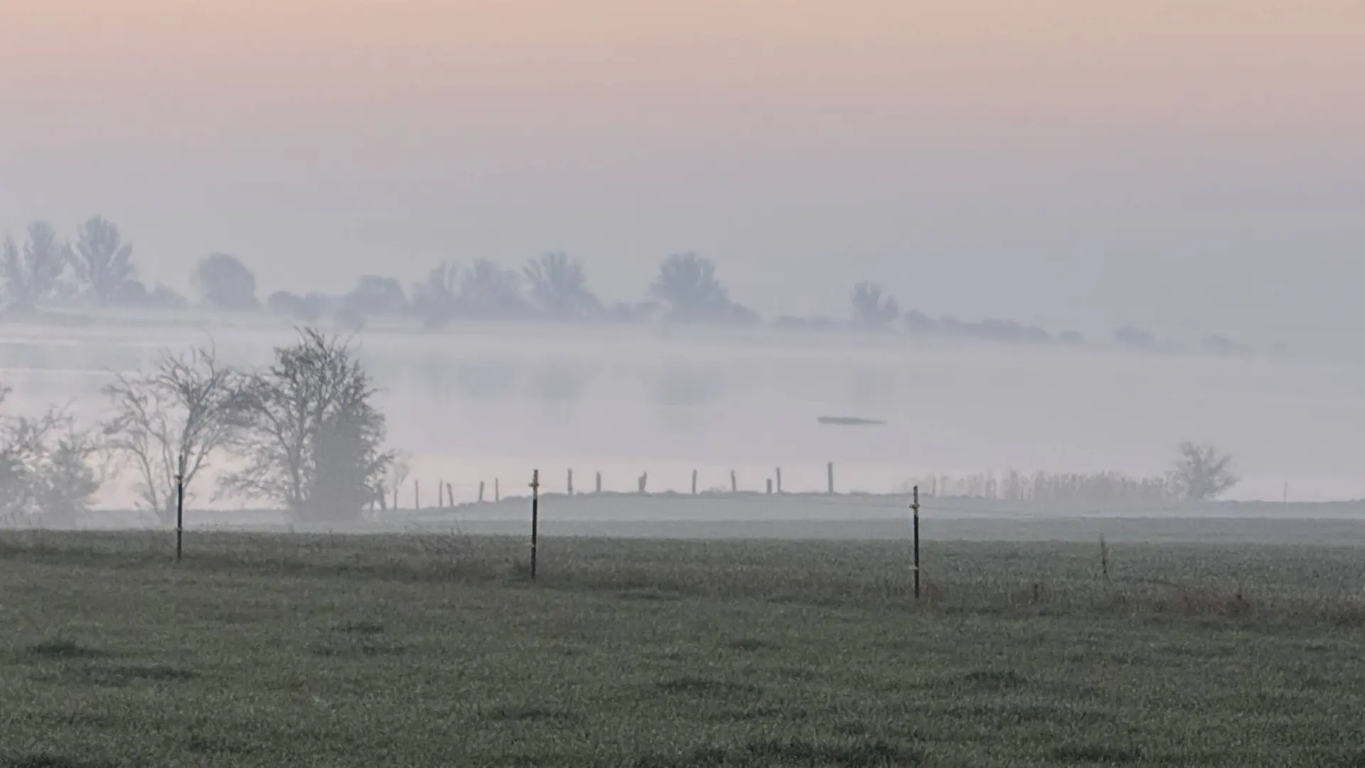 Liveticker zum Ostsee-Wal: Rettungsversuch soll heute starten