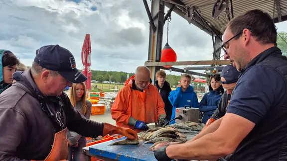 Fischer erklären Schüler, wie Fisch verarbeitet wird