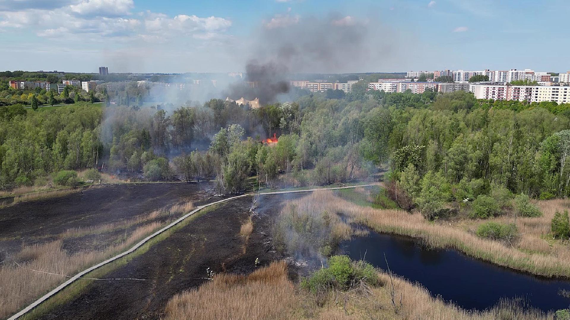 Rostock: Brand im IGA-Park zerstört Rasen und Schilf
