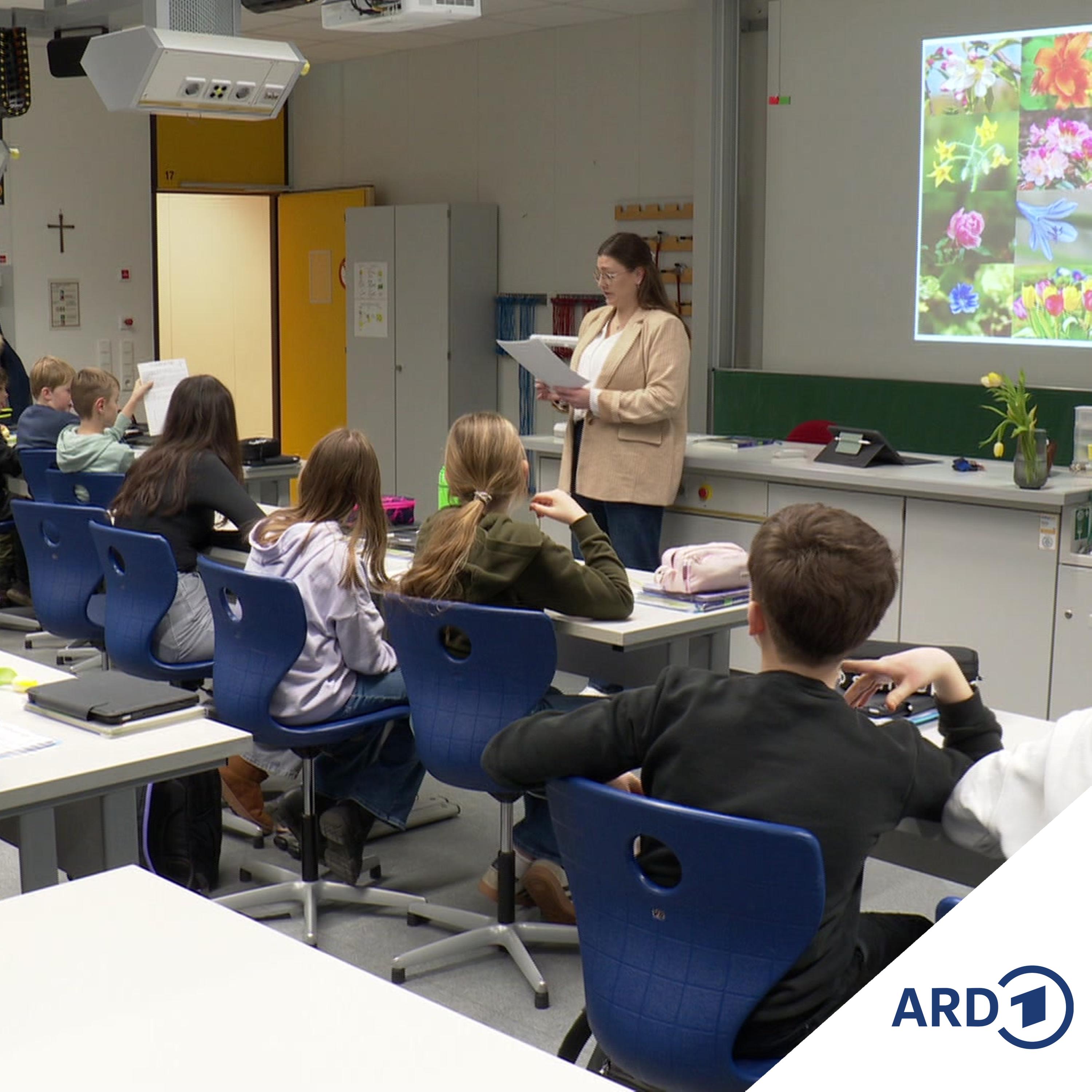 Schule around the world