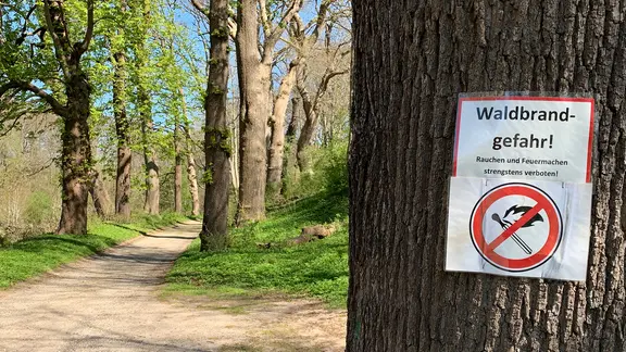 Ein Warnschild an einem Baum weist auf die Waldbrandgefahr hin