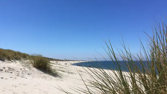 Blick auf den Strand bei dem Ellenbogen von List auf Sylt