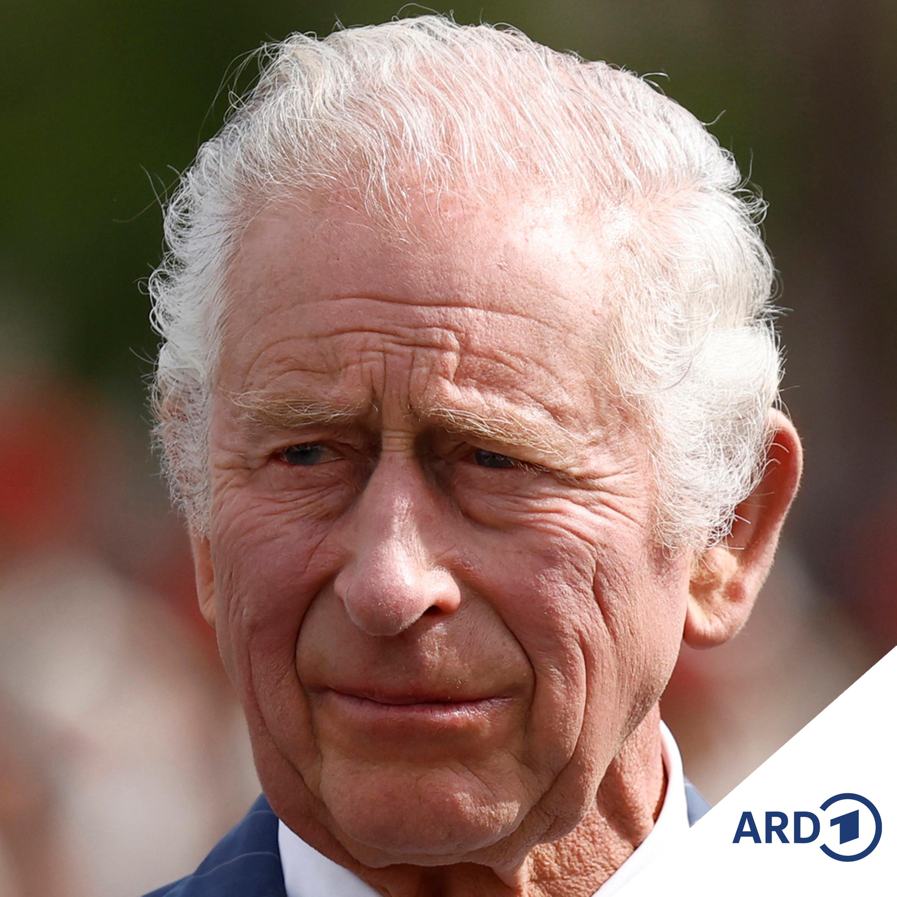 Royale Finanzen und Konkurrenz für Grüffelo