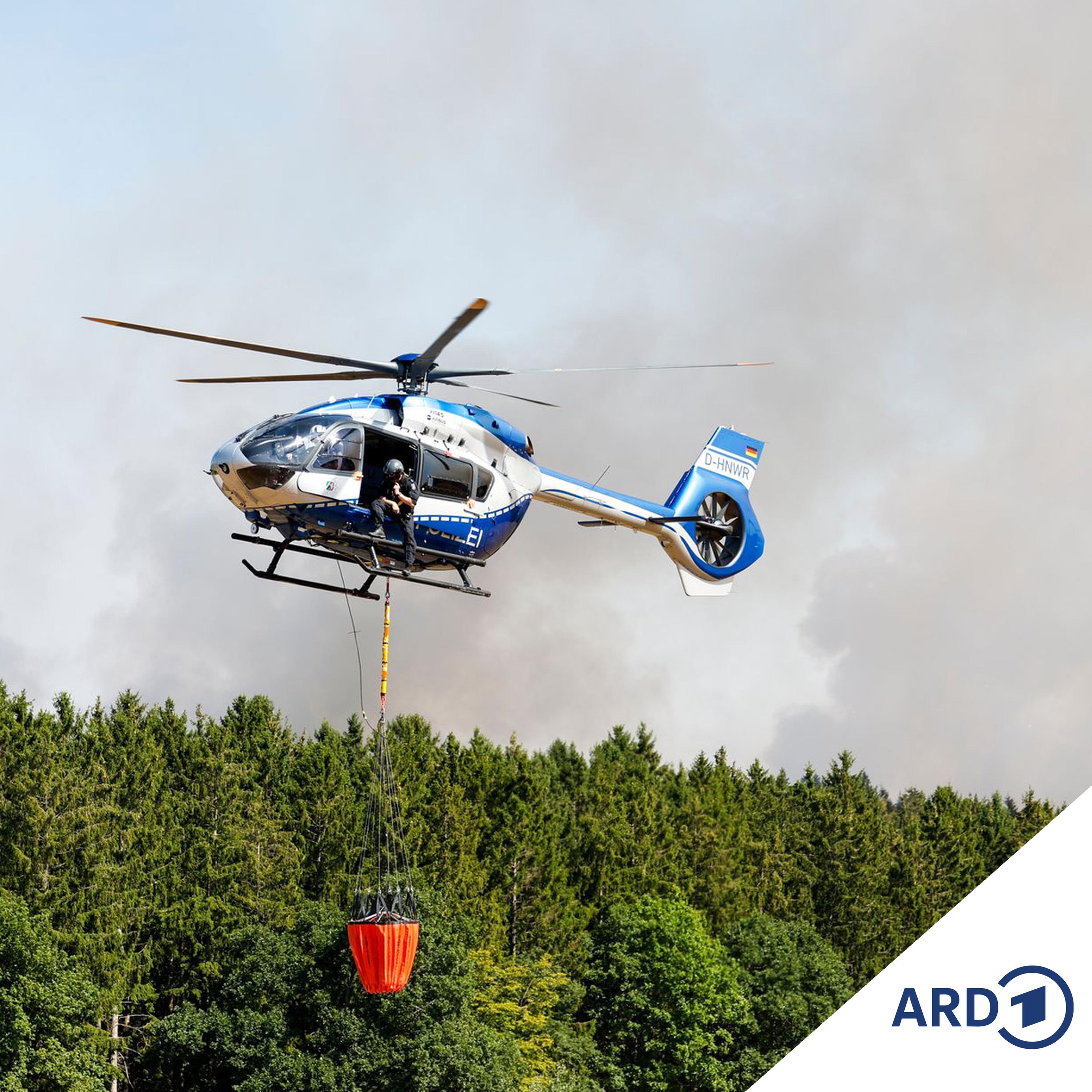 Waldbrand in der Eifel - erste Evakuierungen