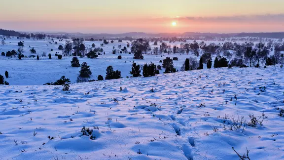 Blick vom Wilseder Berg auf die von Schnee bedeckte Heidelandschaft