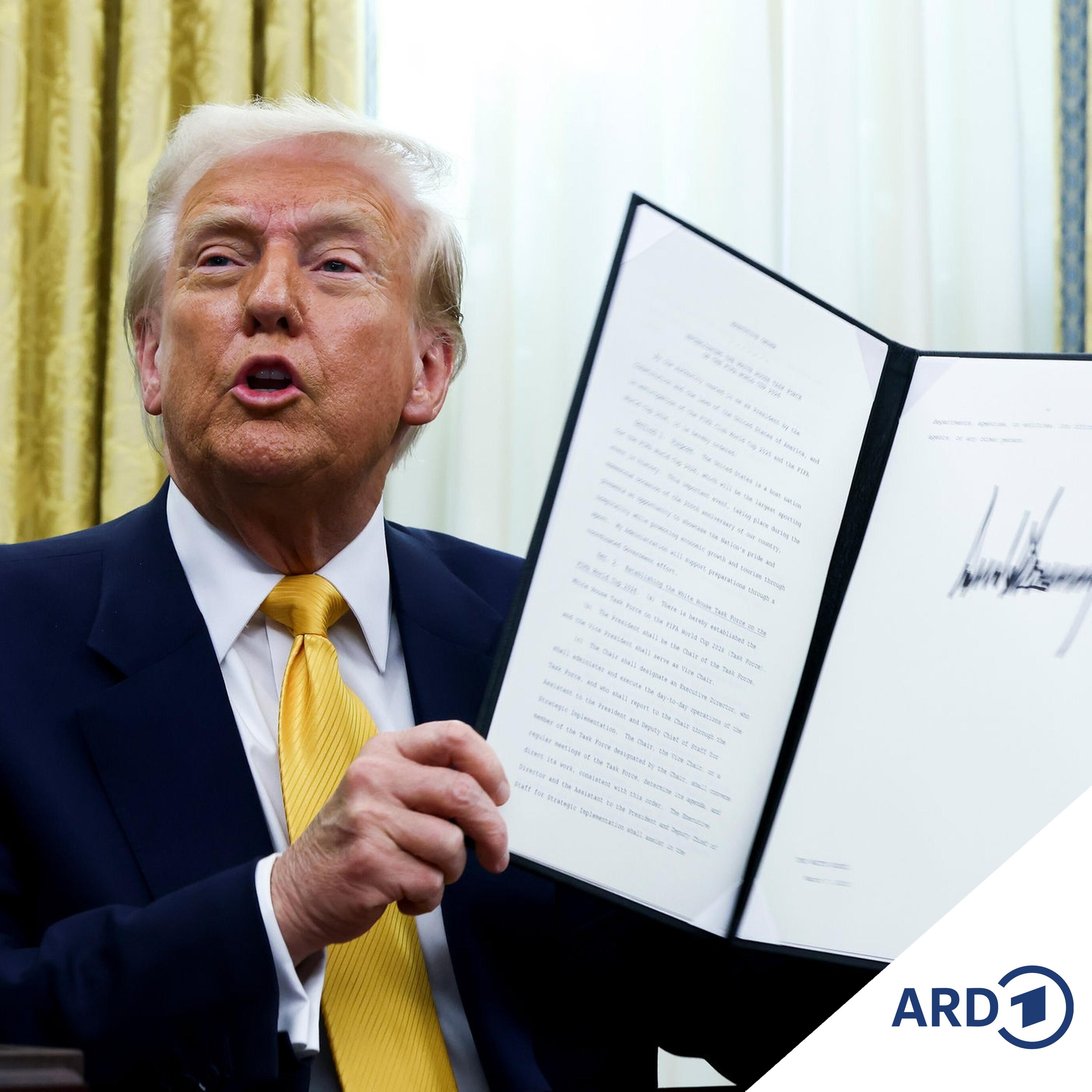 Trumps Zölle: Wie unfair sind sie? episode artwork
