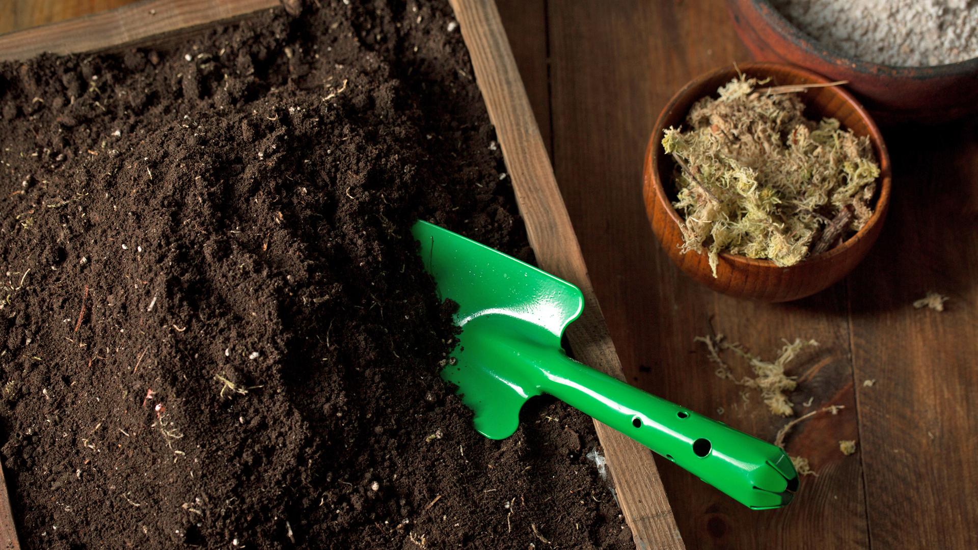 gesichtscreme mit aloe vera Lov'Aloe Vera Bio-Gesichtscreme, 50 ml main image 1