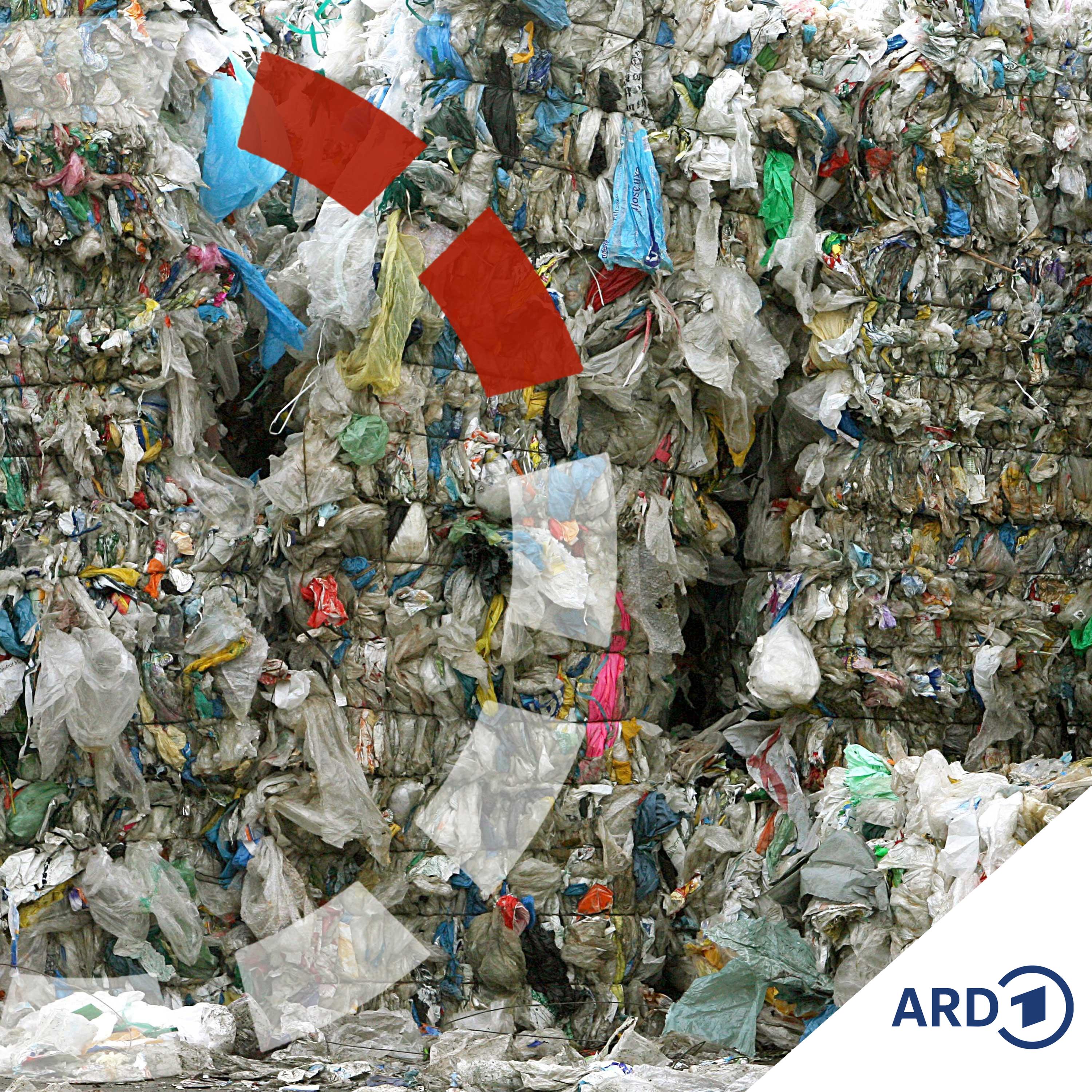 Globale Plastikseuche - Was tun gegen den Müll? episode artwork