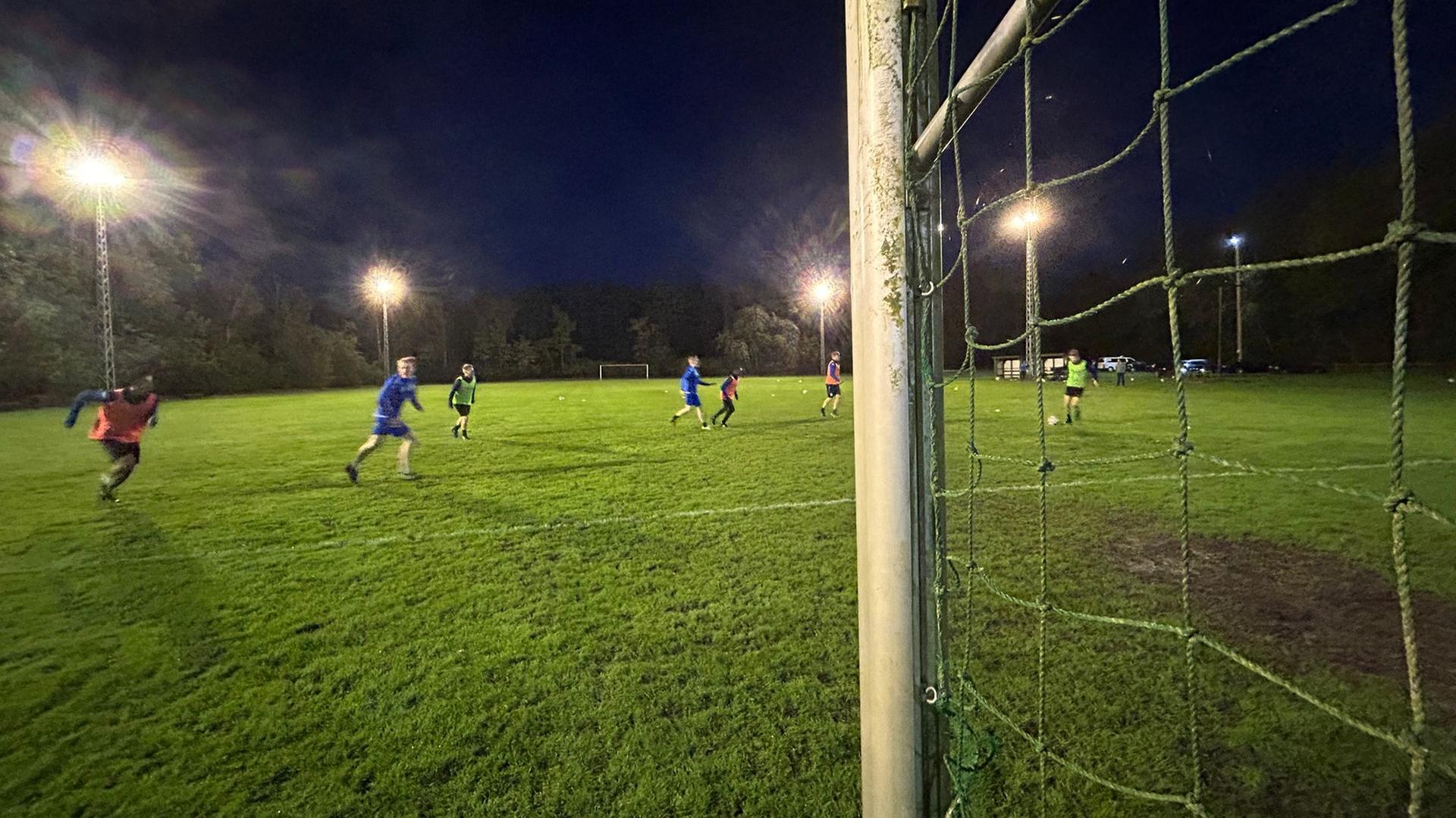 Gewaltvorwürfe: SG Dynamo Schwerin wirft Jugendtrainer raus