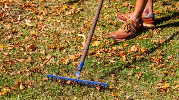 Nahaufnahme einer Harke auf einem Rasen, dahinter Schuhe eines Gärtners.
