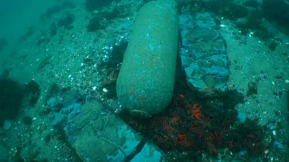 Geschätzte 300.000 Tonnen Kampfmittel liegen auf dem Meeresgrund der Ostsee. | NDR, Screenshot Ein Torpedo liegt auf dem Meeresgrund der Ostsee.