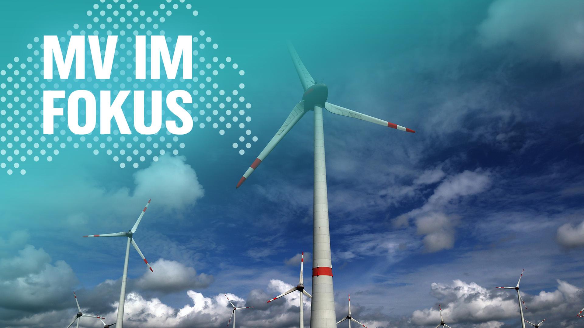 Zwischen Aufwind und Widerstand - Spaltet die Windkraft?