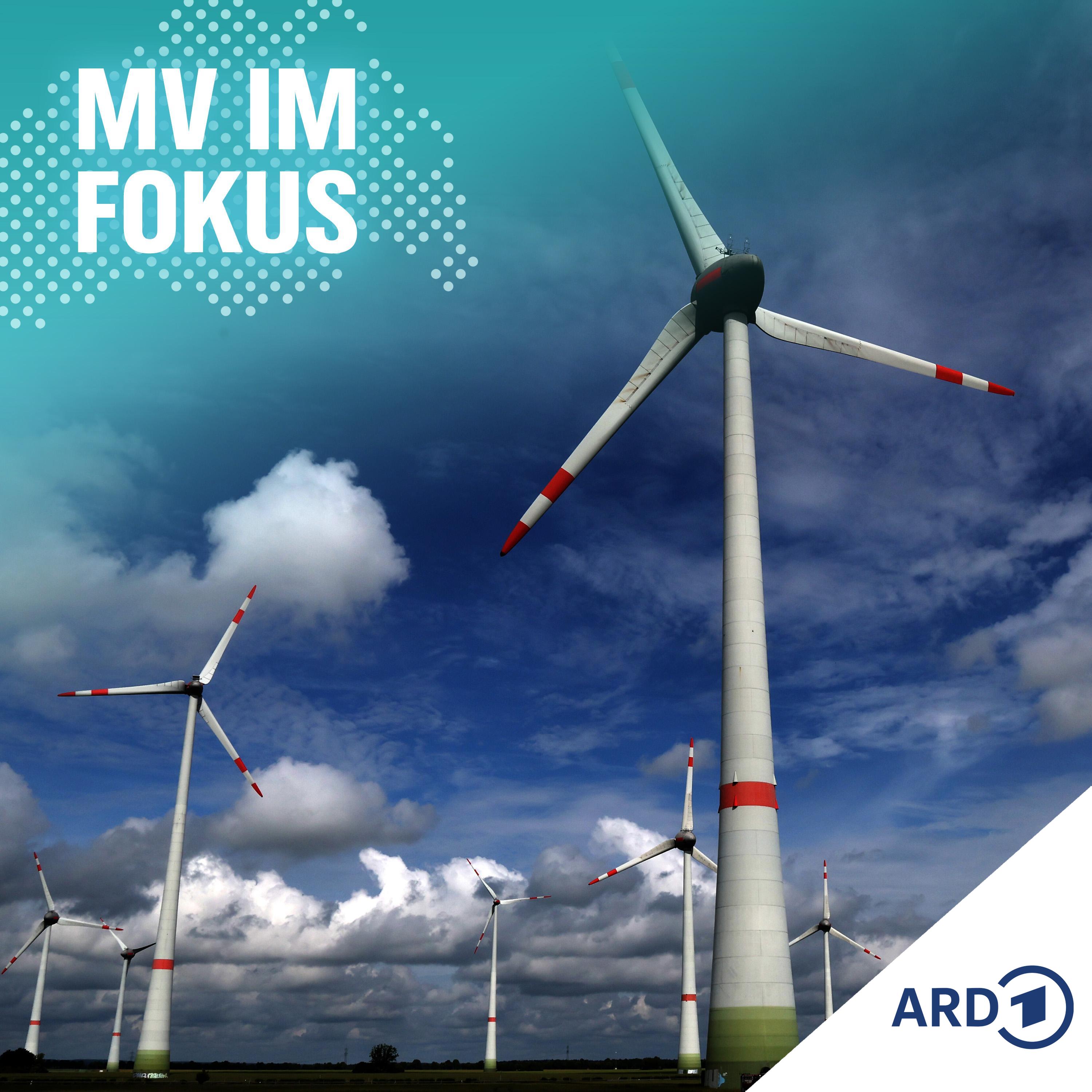 Zwischen Aufwind und Widerstand - Spaltet die Windkraft? episode artwork