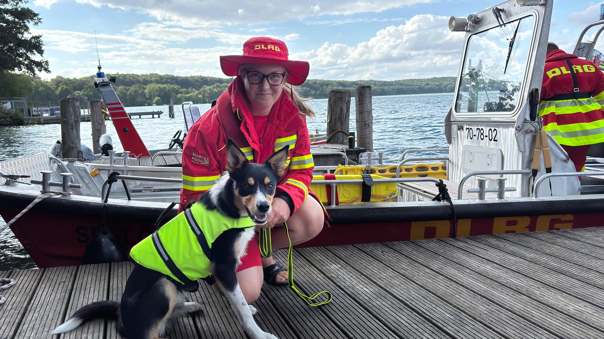 Vermisste unter Wasser aufspüren: So helfen DLRG-Rettungshunde dabei