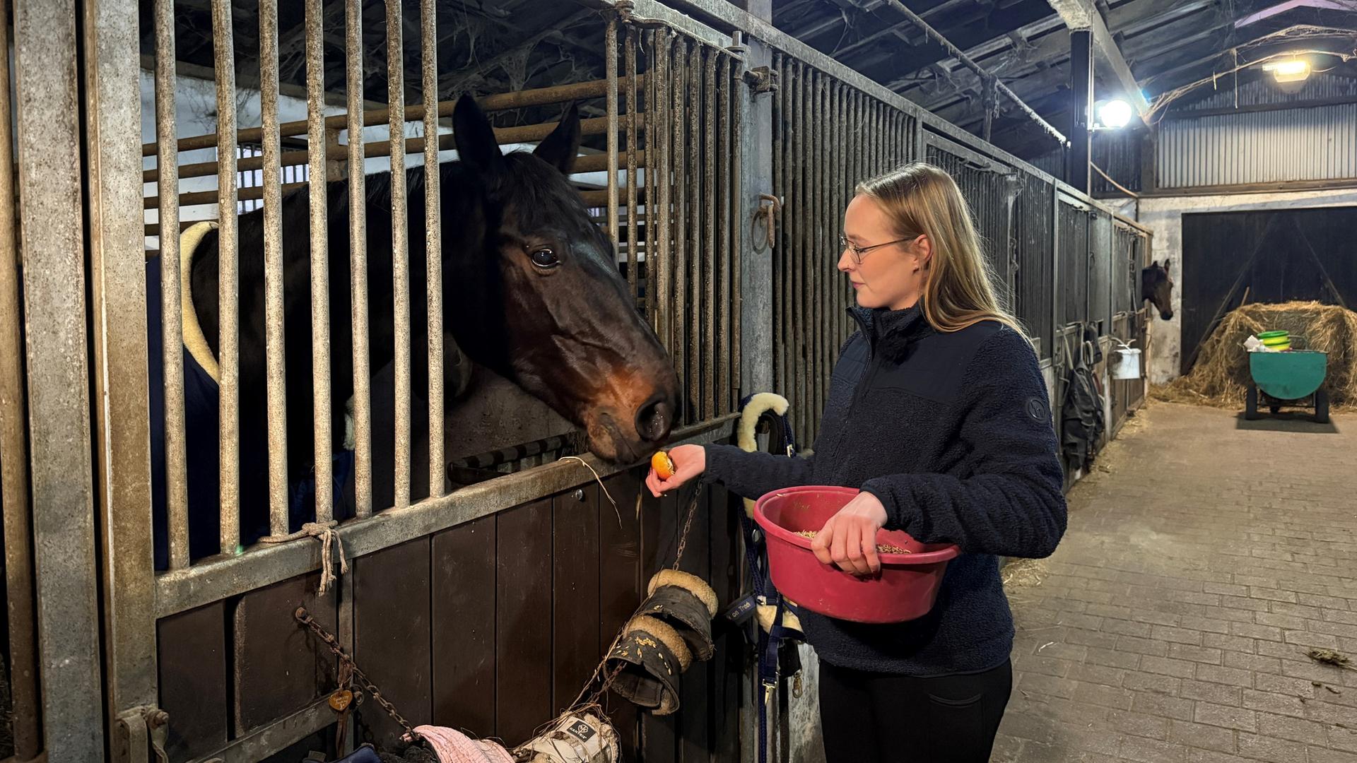 Charlotte Karallus füttert ihre 14-jährigen Stute 