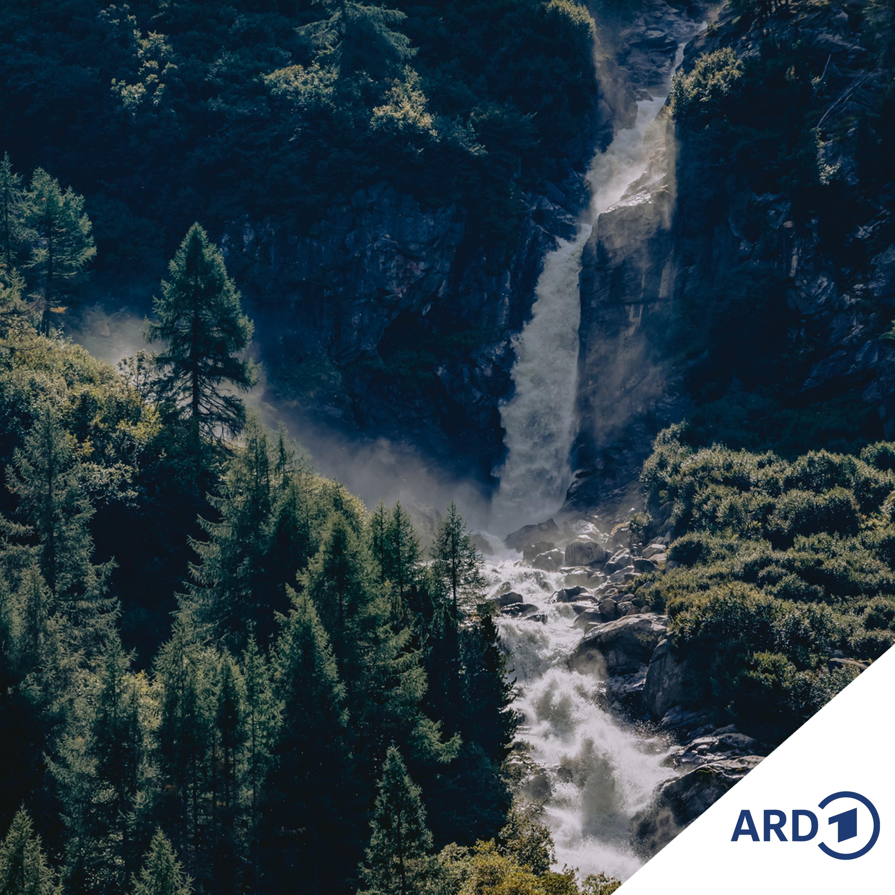 Zwischen Hamburg und Haiti