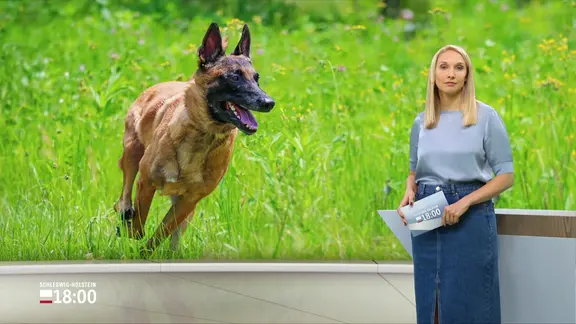 Moderatorin Alexandra Bauer im Studio