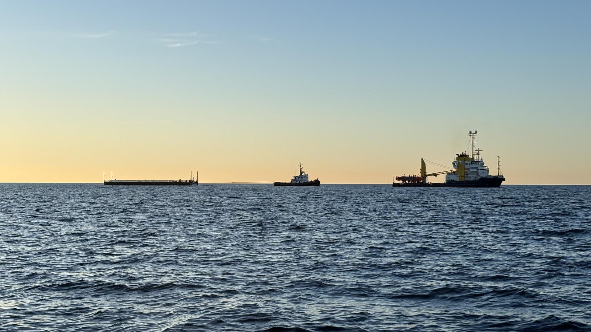 Liveticker: Buckelwal aktuell in Ostsee vor Fehmarn