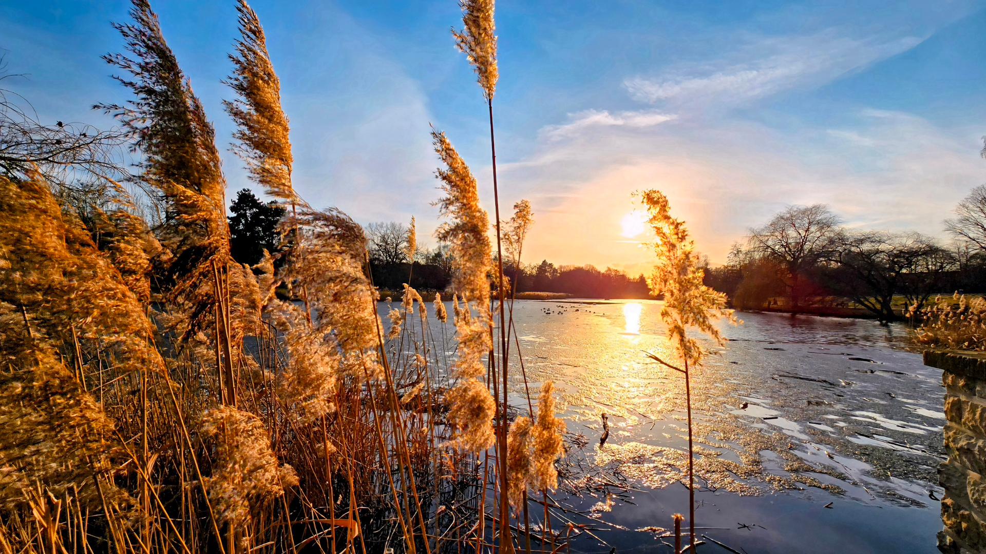 Schilfrohre und ein See bei Sonnenuntergang | NDR, Torsten Krahn aus Rostock