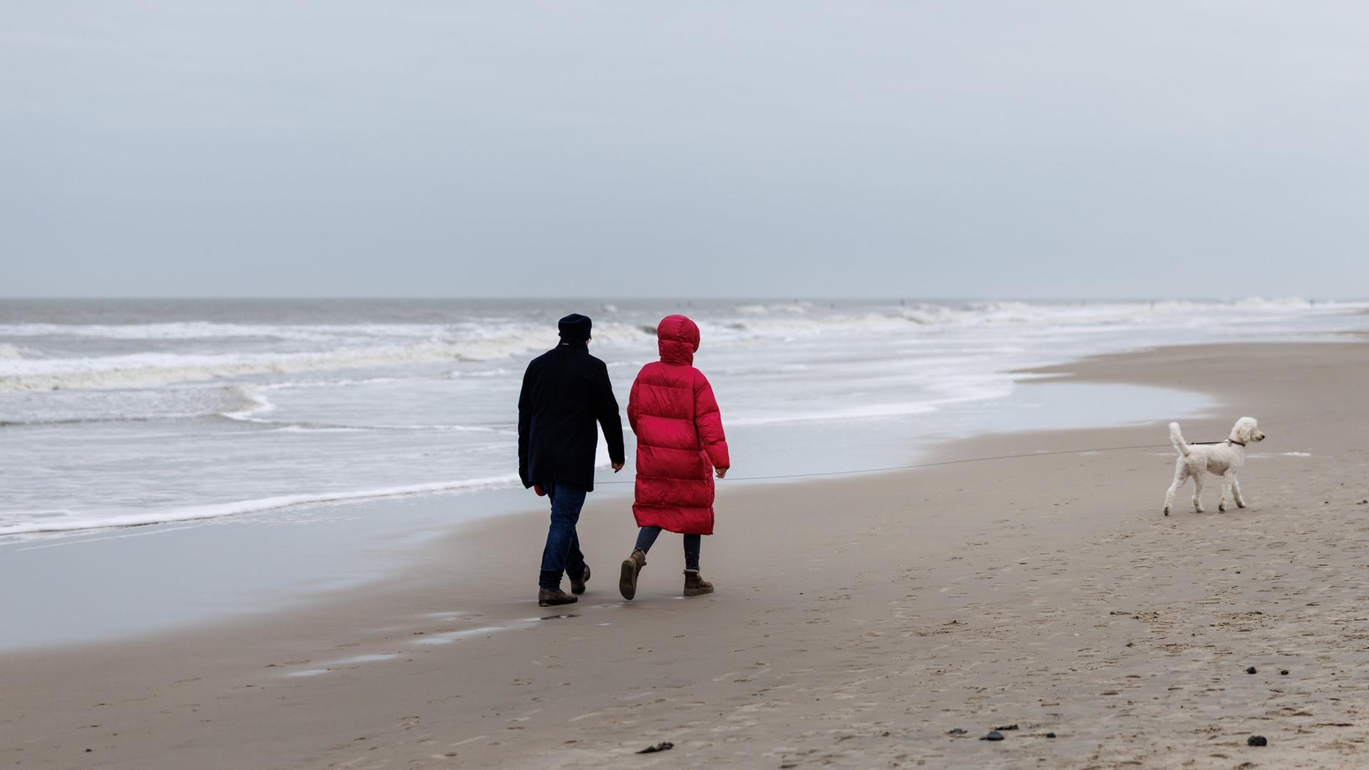 Zwei Personen gehen mit einem Hund am Strand der Ostfriesischen Insel Norderney spazieren. | picture alliance, dpa, Matthias Balk