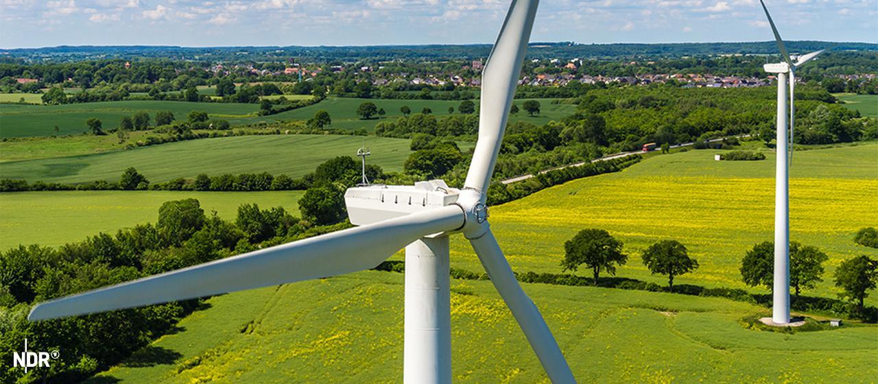 Eine Luftaufnahme zweier Windräder in einem Rapsfeld.