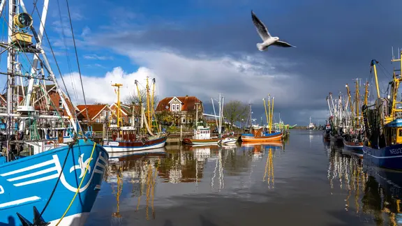 Boote im Kutterhafen Neuharlingersiel