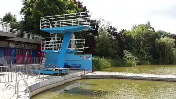 Ein blauer Sprungturm steht am Rand eines Naturschwimmbades. Das Wasser hat eine grünliche Farbe, weil Blaualgen darin wachsen.