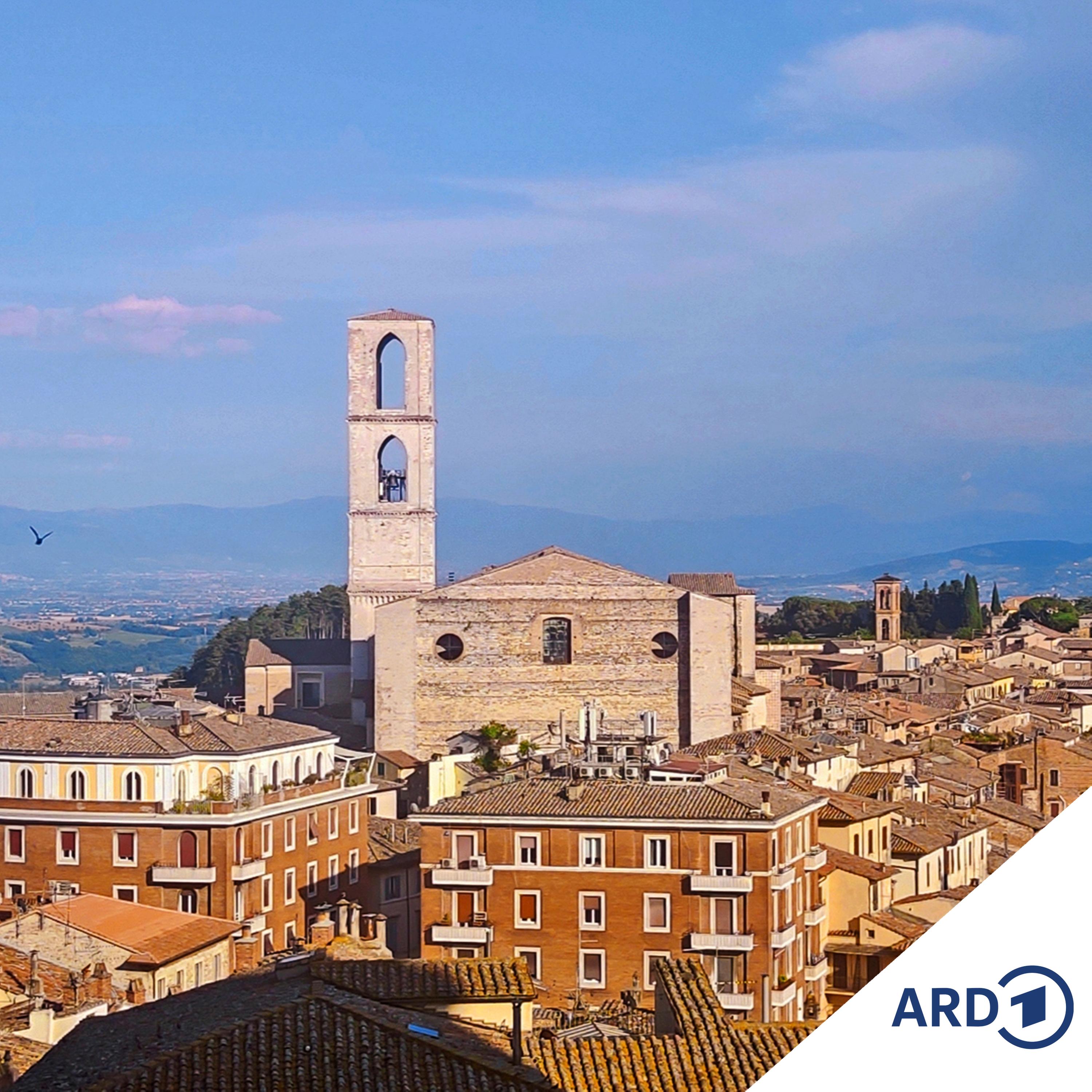 Zwischen Hamburg und Haiti