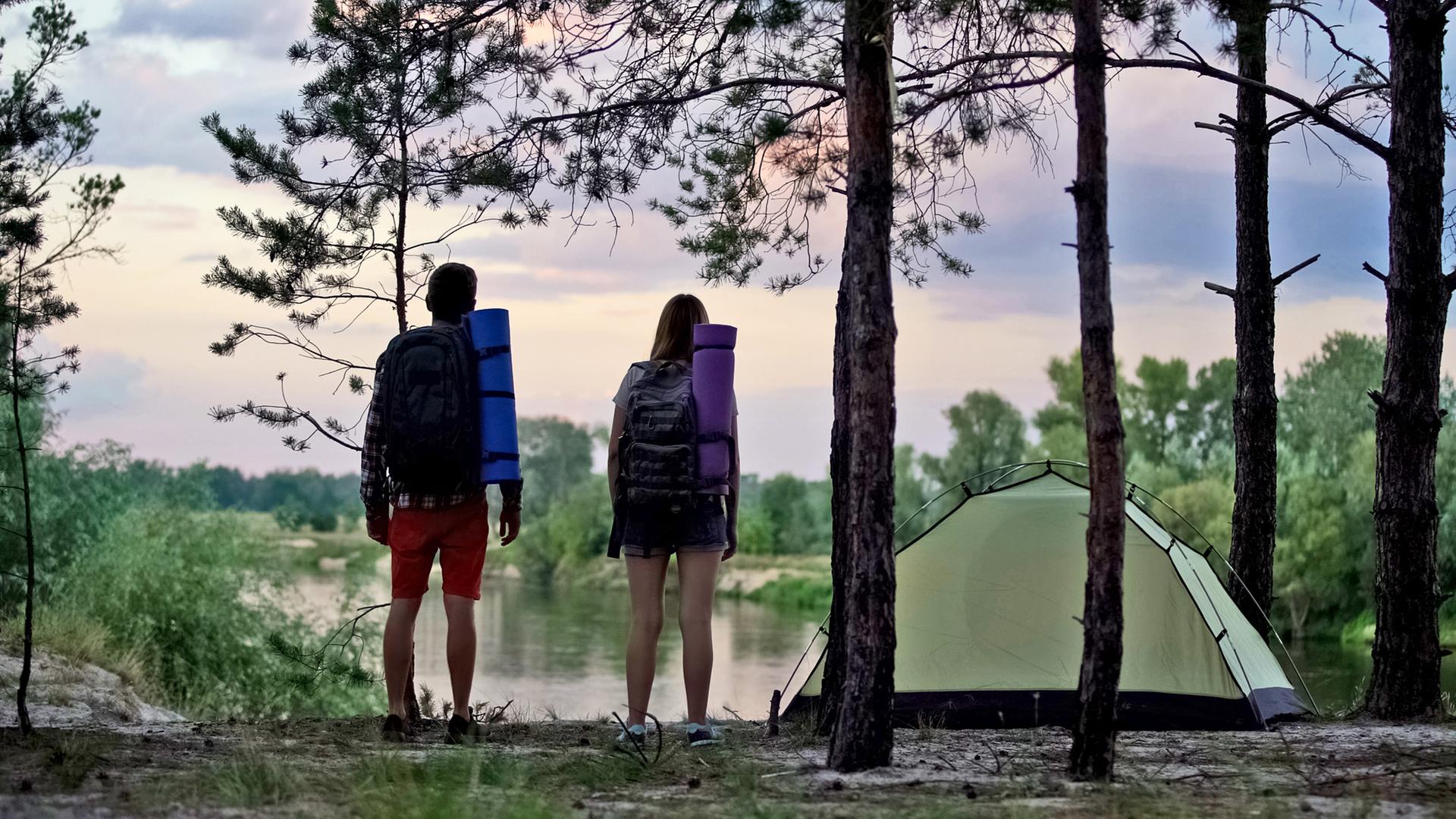 Camping in Schleswig-Holstein: Wo ist es am schnsten? | ndr.de
