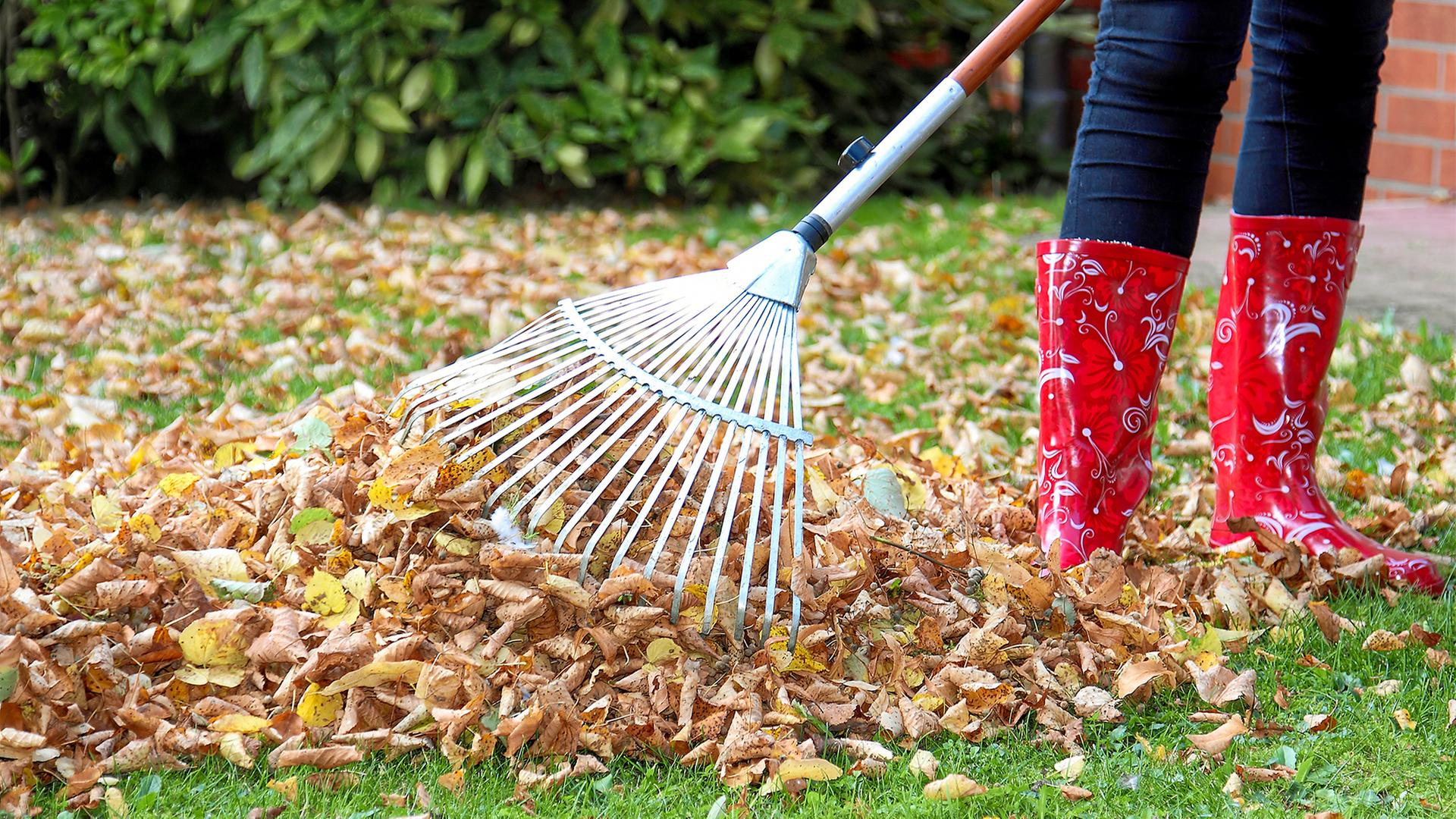 Gartenabfälle verbrennen in MV: Was ist erlaubt?