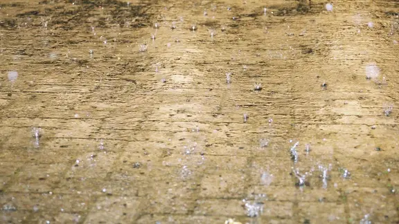 Regen fällt auf einen nassen Boden.
