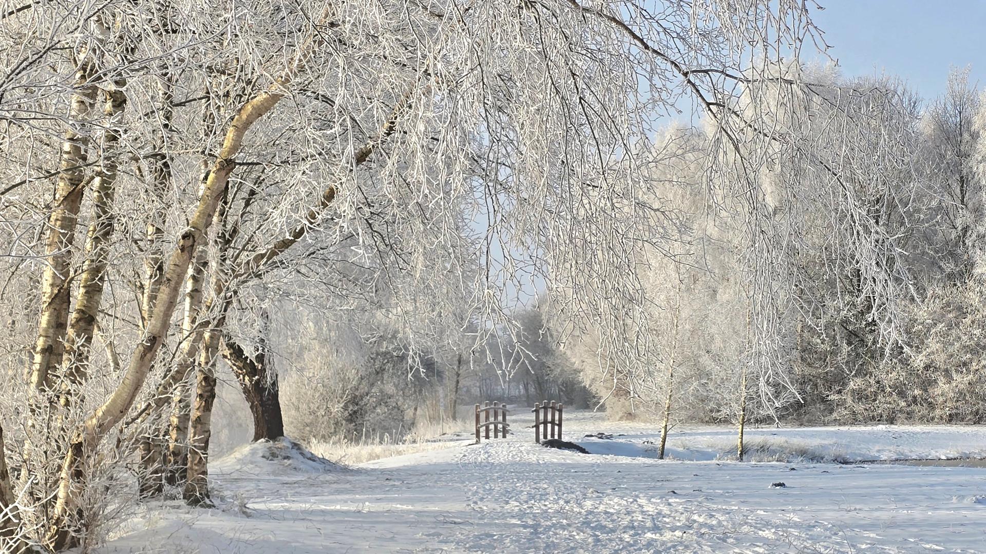 Viel Neuschnee im Norden erwartet: „Große Flocken, pappiger Schnee“