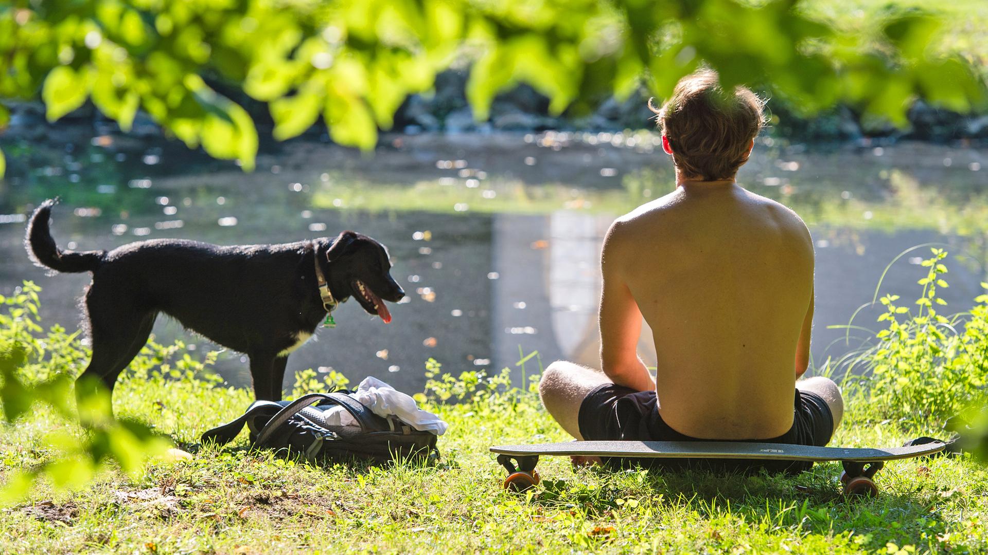 Hund und Hitze: So kommt der Vierbeiner gut durch den Sommer