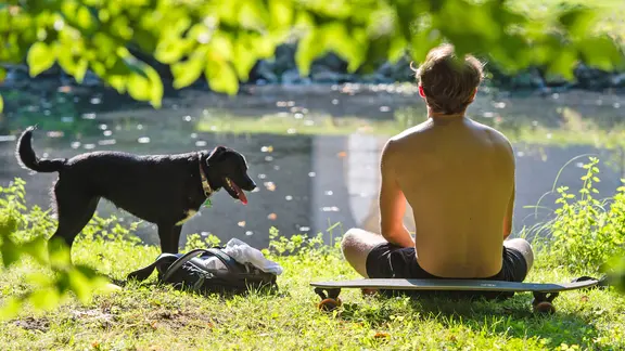 Ein junger Mann sitzt auf einem Skateboard mit seinem Hund an einem Teich. | picture alliance/dpa, Sebastian Gollnow Ein junger Mann sitzt auf einem Skateboard mit seinem Hund an einem Teich.