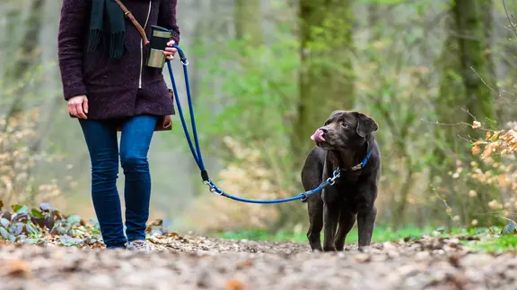 Eine Frau geht mit ihrem Hund spazieren.