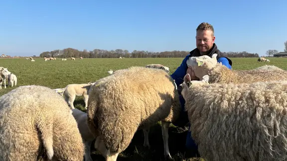 Ido Altenburg ist der erfolgreichste Schafzüchter von Texel.