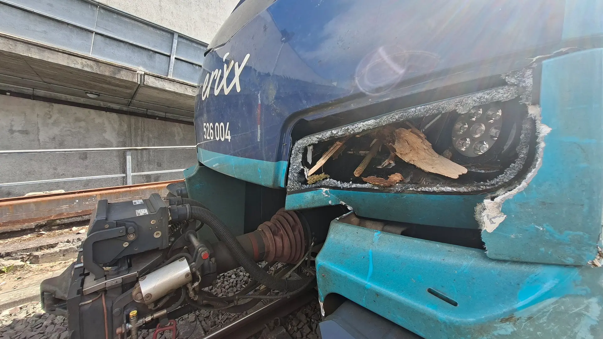 Zug prallt gegen Baum: Bahnstrecke Kiel-Lübeck zwischenzeitlich gesperrt