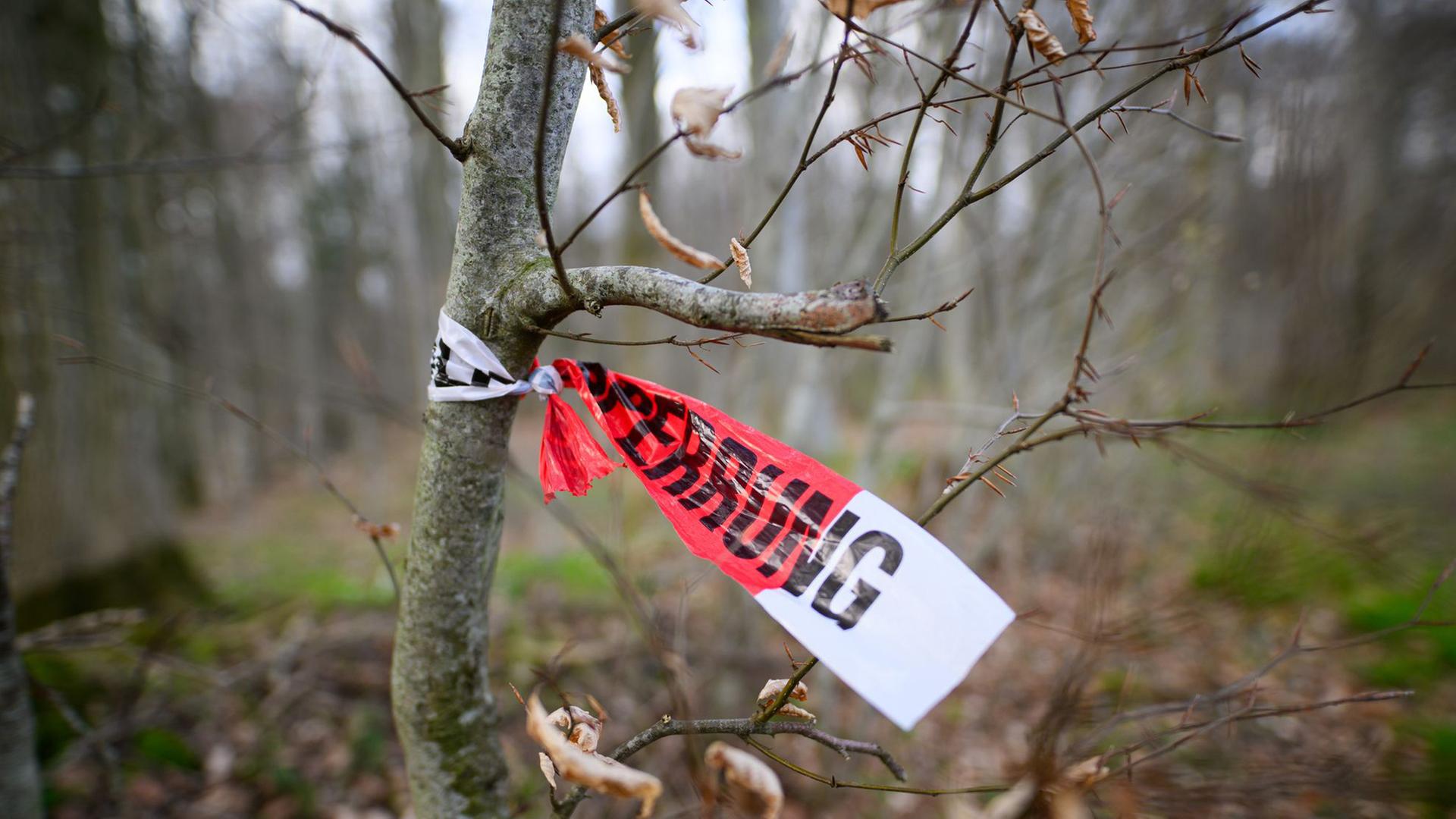 Absperrband an einem Baum | Daniel Reinhardt/dpa