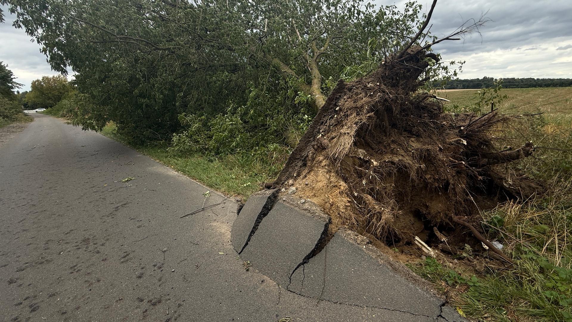 Nach Sturm: Aufräumarbeiten könnten noch Wochen dauern