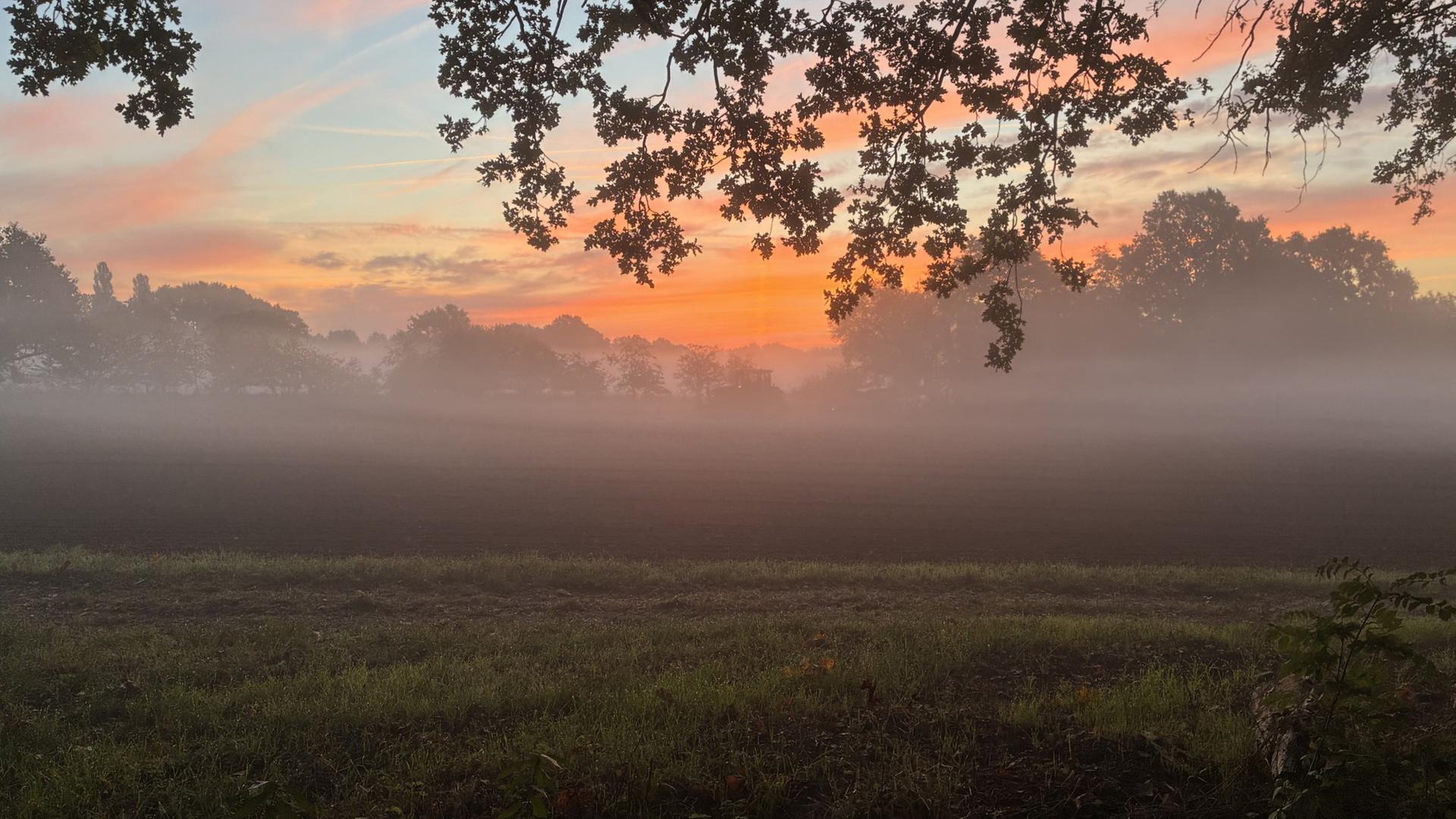 Morgenrot ist am Himmel zu sehen. | NDR, Martin Bremer