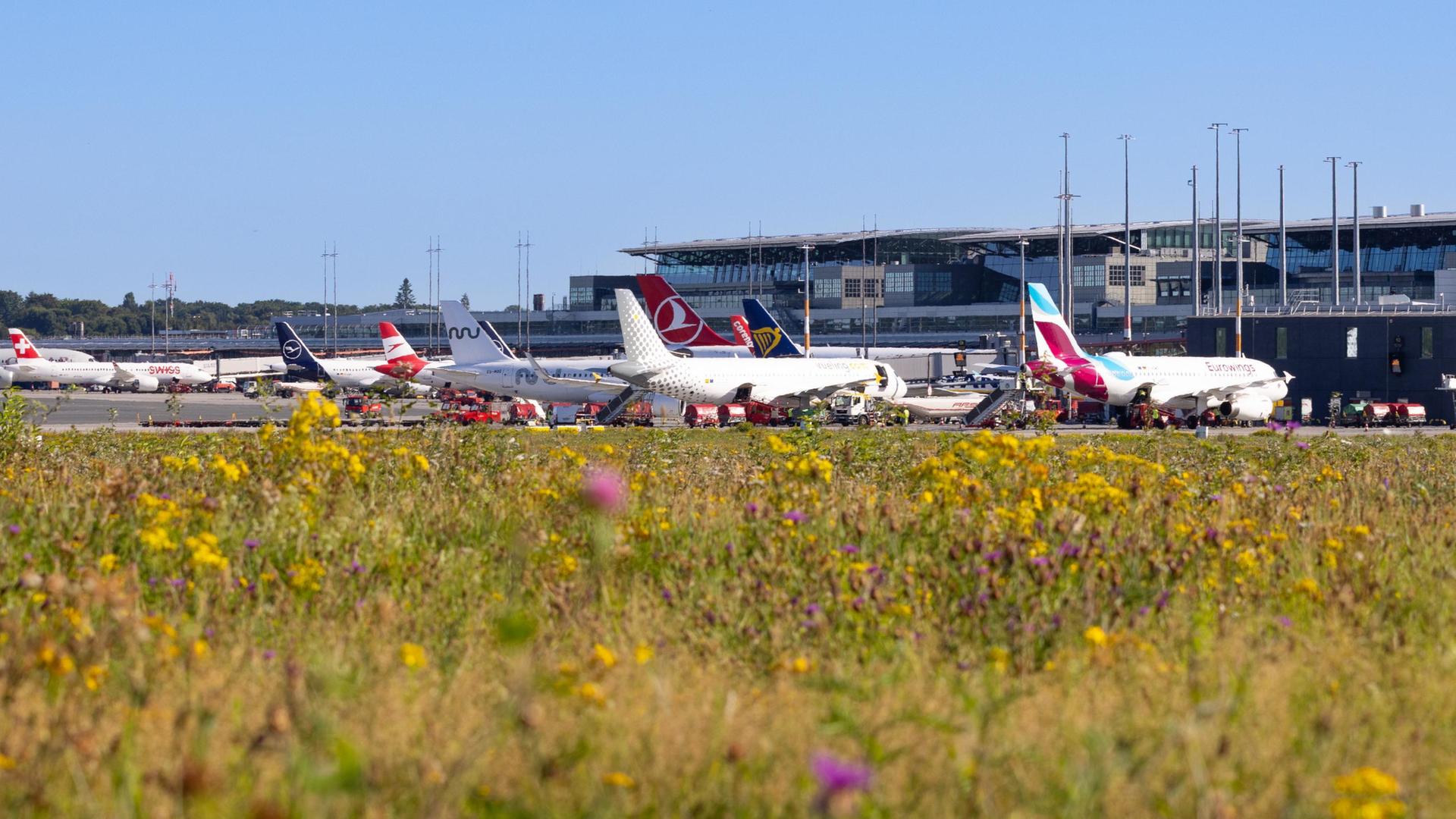 Erstmals Flugzeug mit synthetischem Kerosin in Hamburg gelandet
