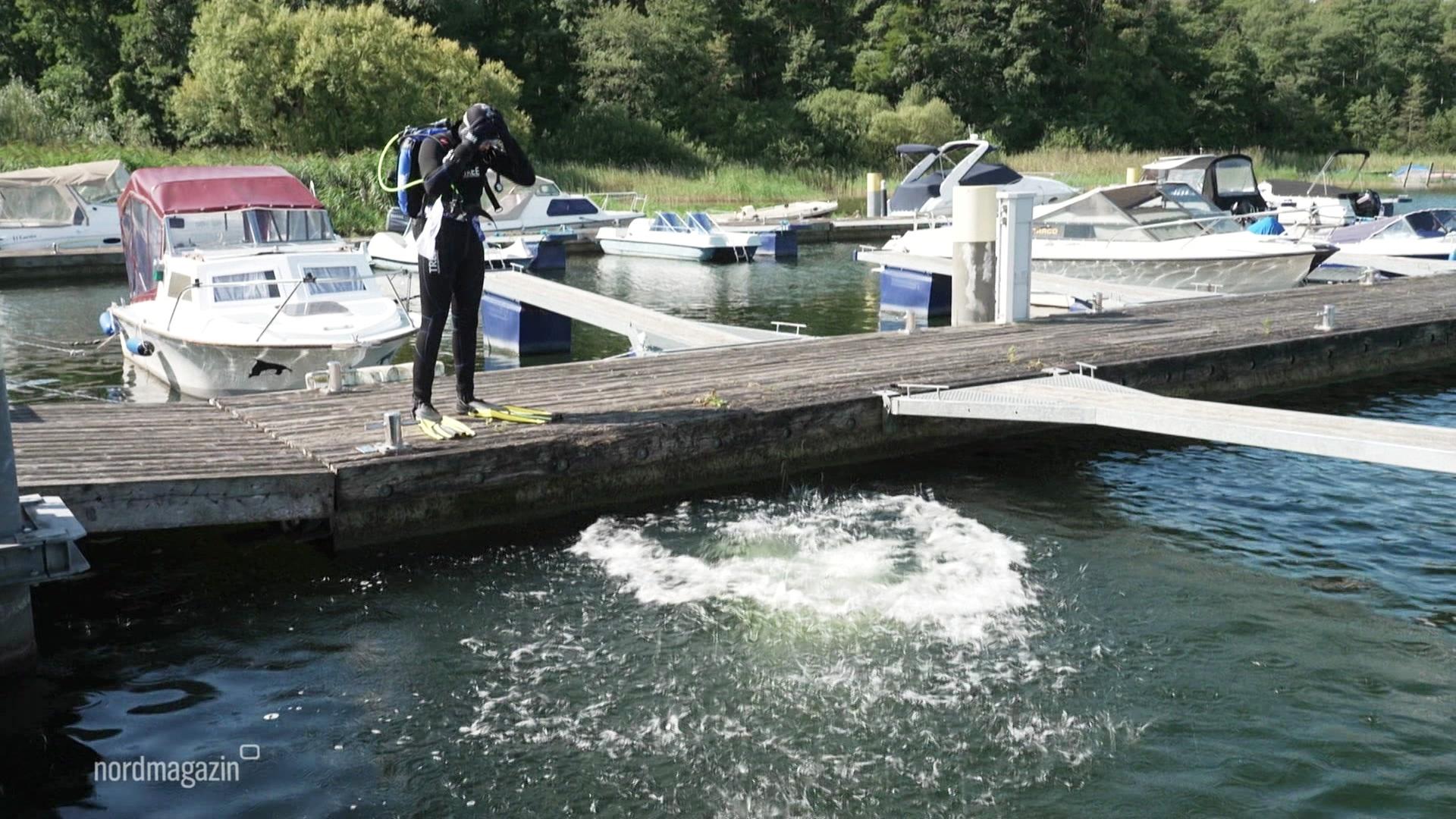 Tauchen für den Umweltschutz im Plauer See