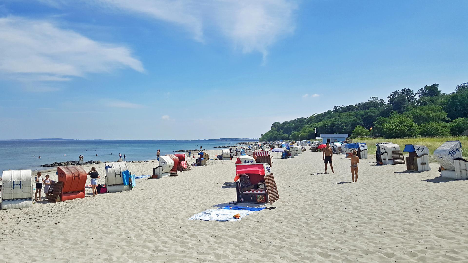 Strand in Hohwacht an der Ostsee. | NDR, Kathrin Weber
