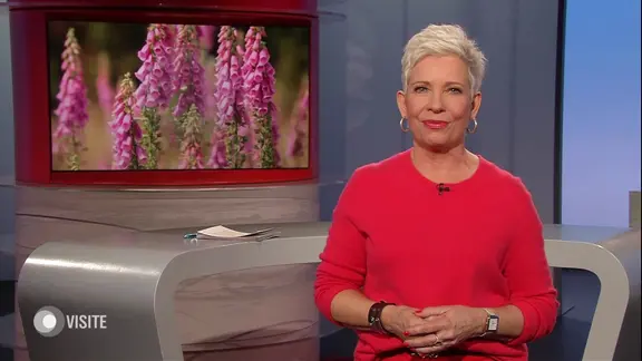 Susanne Kluge-Paustian moderiert Visite.