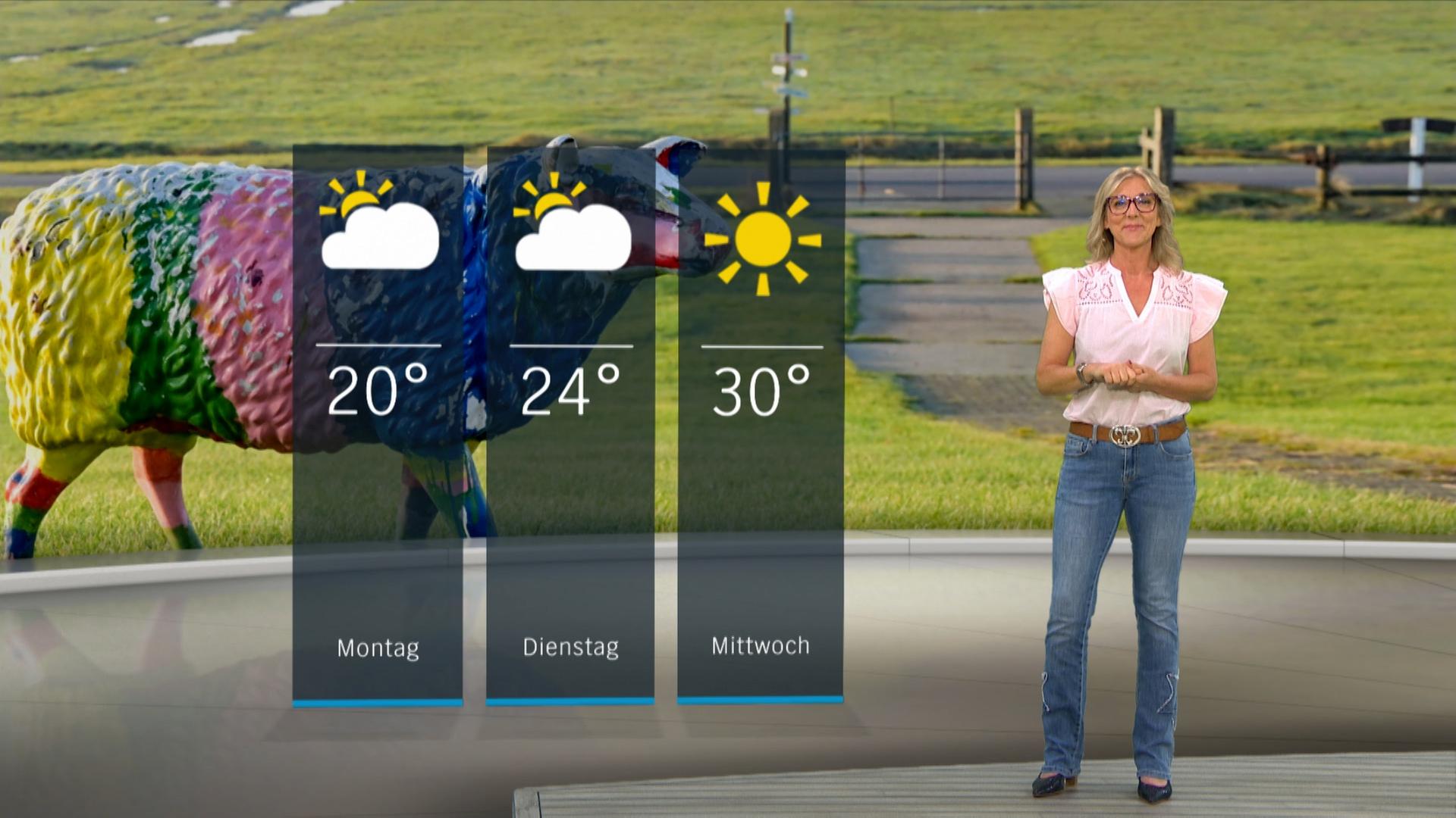 NDR Schleswig-Holstein Moderatorin Meike von der Goltz im Studio mit der Wettervorhersage. | NDR