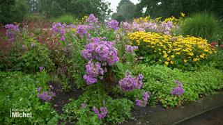 Planten un Blomen: ein Park mit vielen Highlights | ndr.de